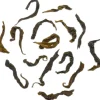 China Pouchong Oolong Ruixin bio