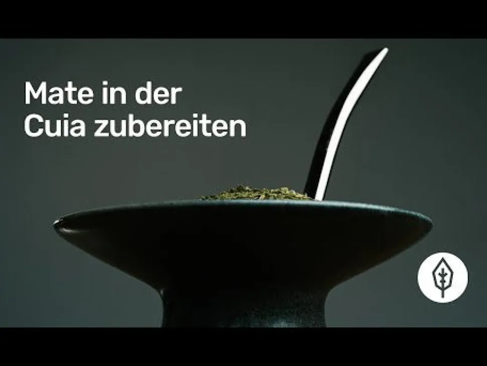 Erva Mate bio frisch