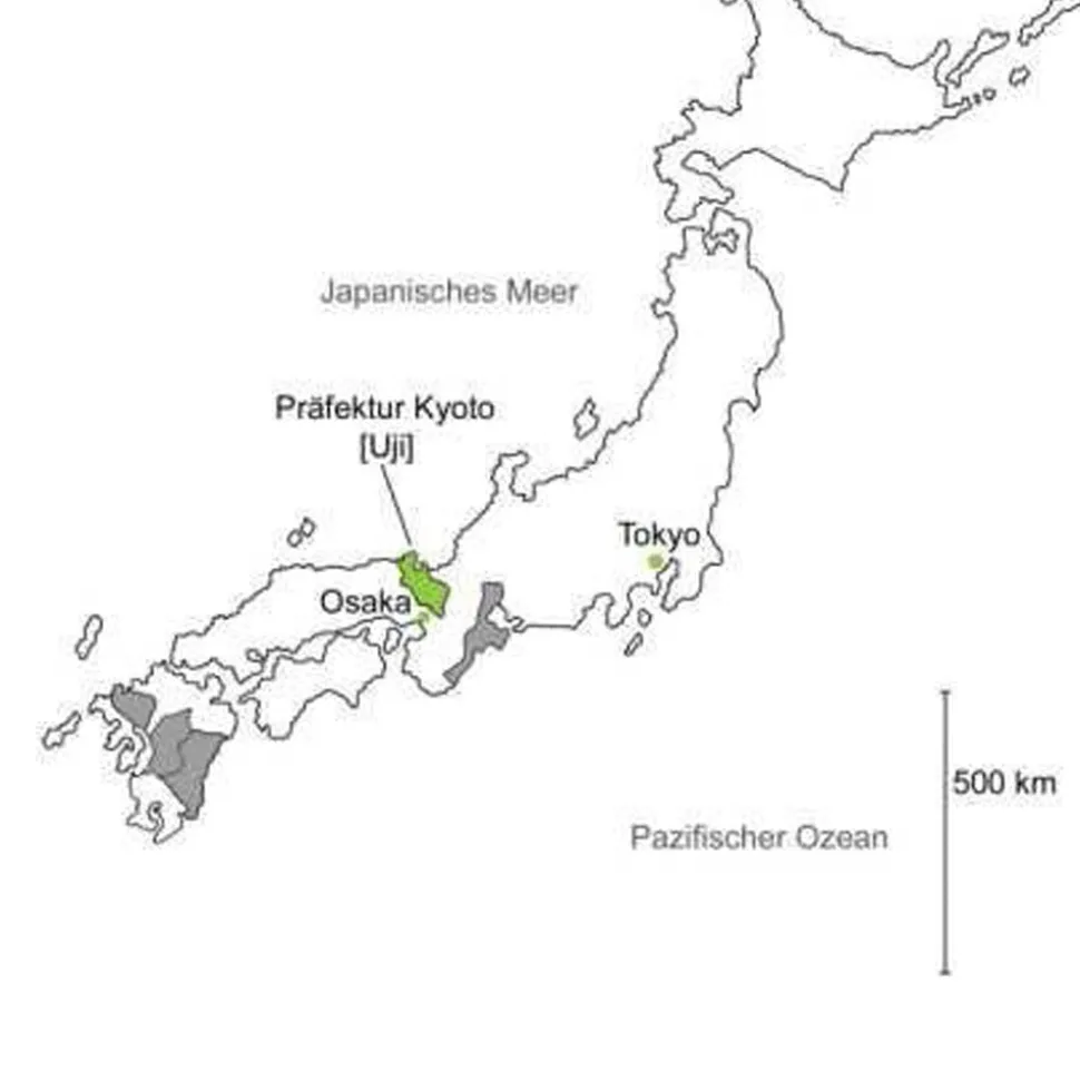 Gen Chou Matcha bio