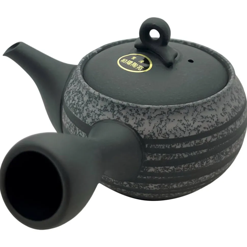 Gestreifte Tokoname Kyusu