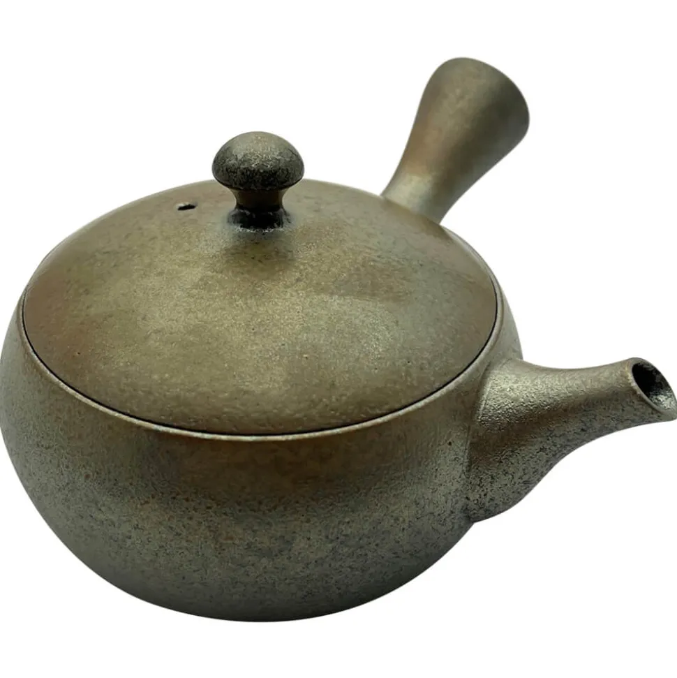 Glänzende Tokoname Kyusu