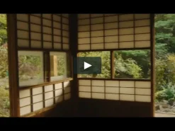 Grüner Tee Sakura-No Sencha