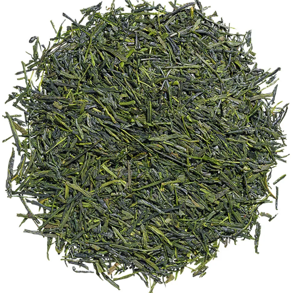 Gyokuro Tokiwa bio mit delikatem Geschmack