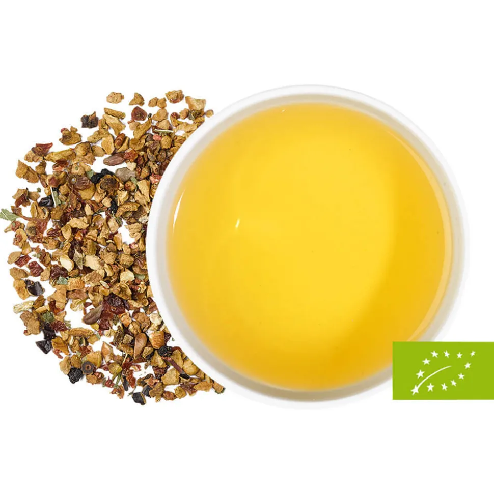 Holunder mit Orange & Vanille bio
