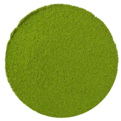 Kirishima Midori Matcha bio