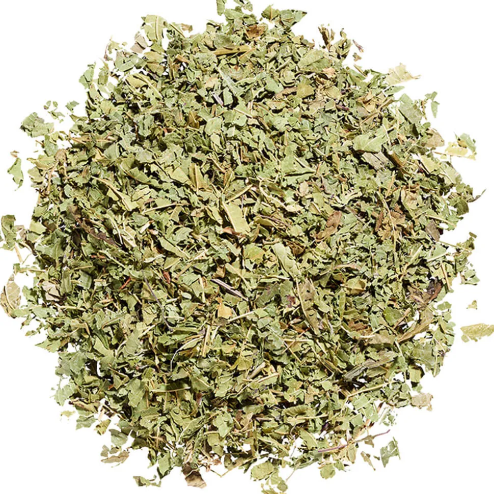 Kräutertee Verbena (Zitronenverbene)