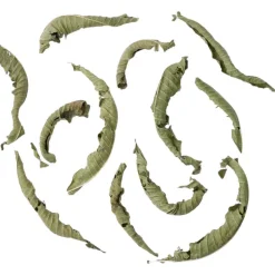 Kräutertee Verveine bio