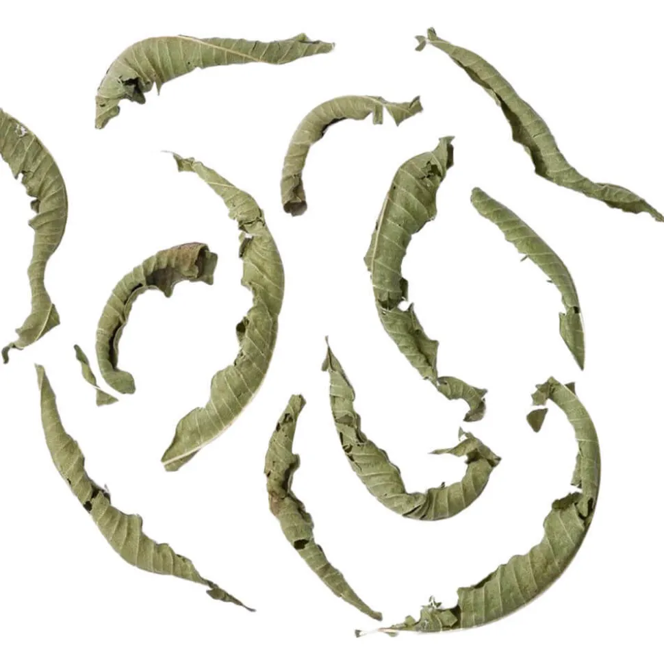 Kräutertee Verveine bio