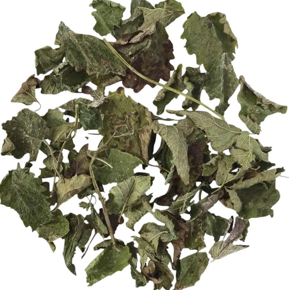 Kräutertee Zitronenmelisse Portugal bio