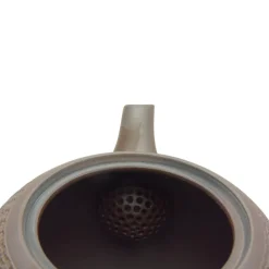 Kyusu Daito mit Reliefmuster