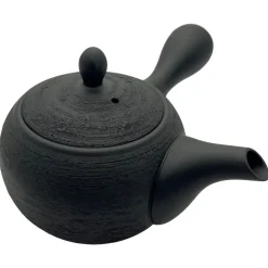 Kyusu Isamu aus Tokoname