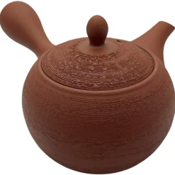 Kyusu Isamu aus Tokoname