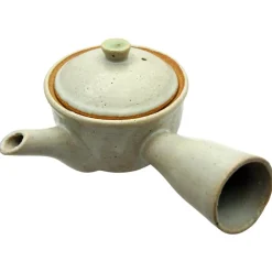 Kyusu Shigaraki