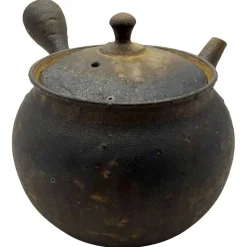 Kyusu Tonkanne mit Keramiksieb