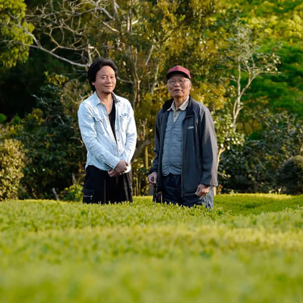 Mie Mizudashi Sencha bio
