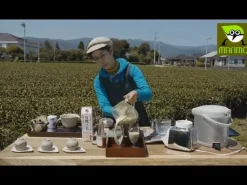 Morimoto Matcha bio in zwei Größen