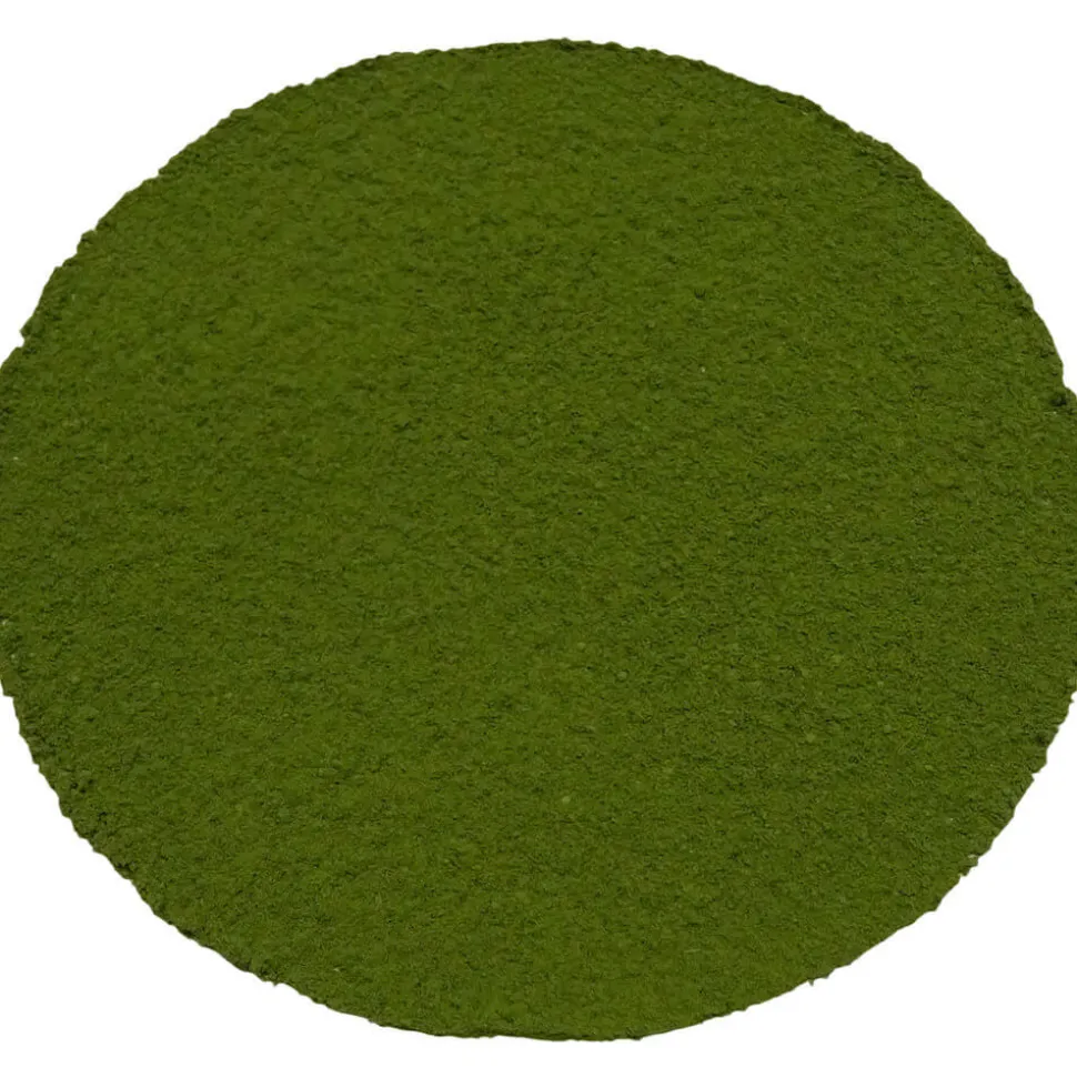 Morimoto Matcha Minami Sayaka bio