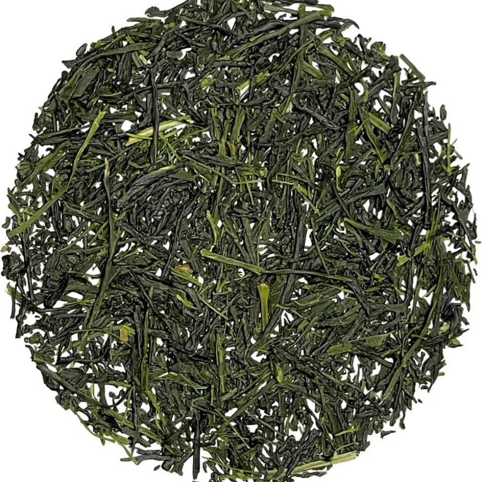Morimoto Shincha 2024 bio