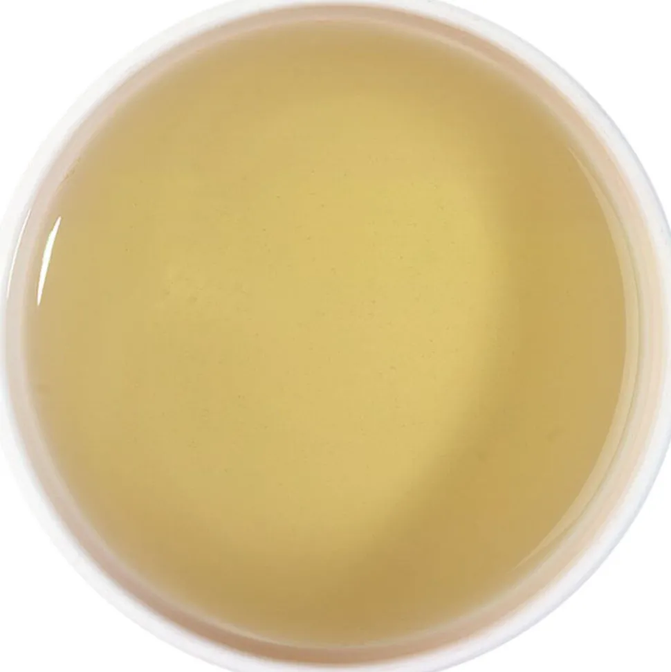 Pfefferminze Portugal bio