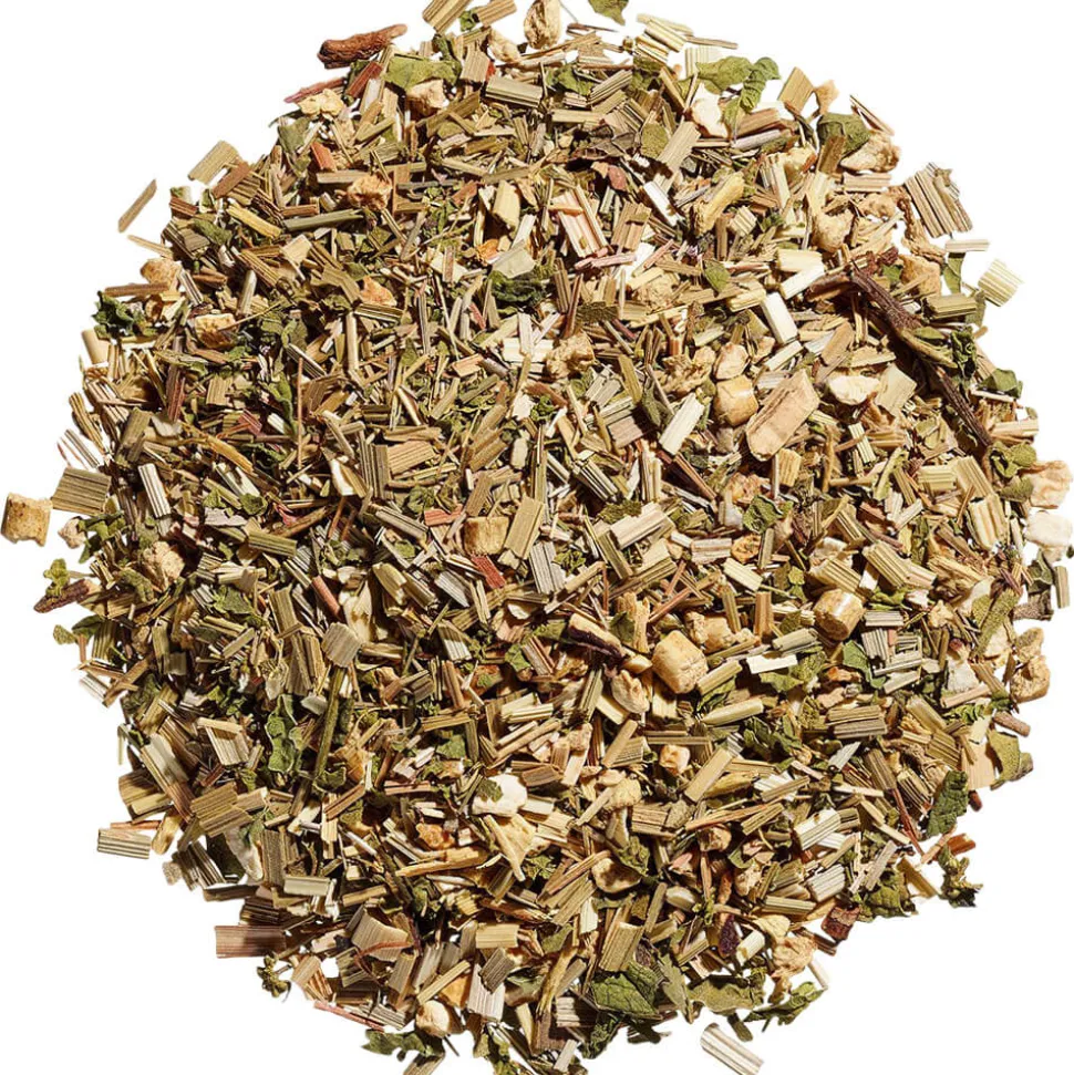 Premium Teebeutel Spice of Life bio