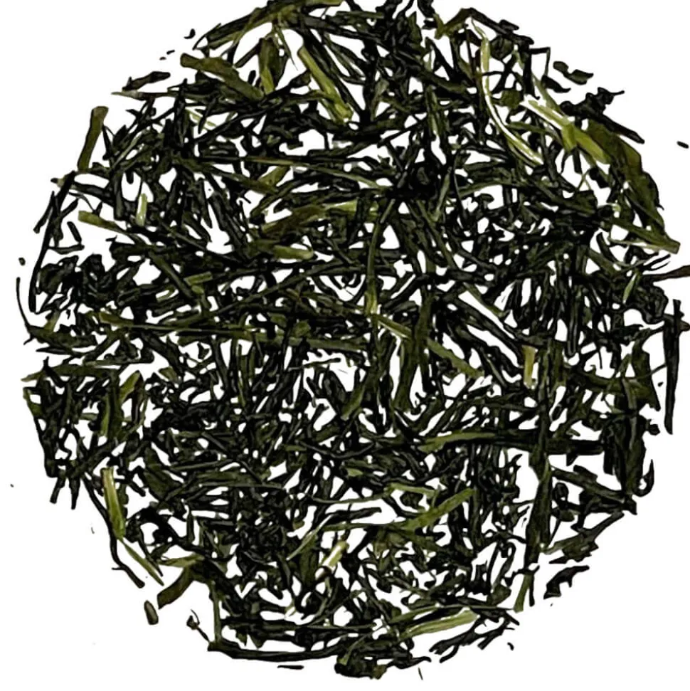 Sakura-No Shincha Moe 2024