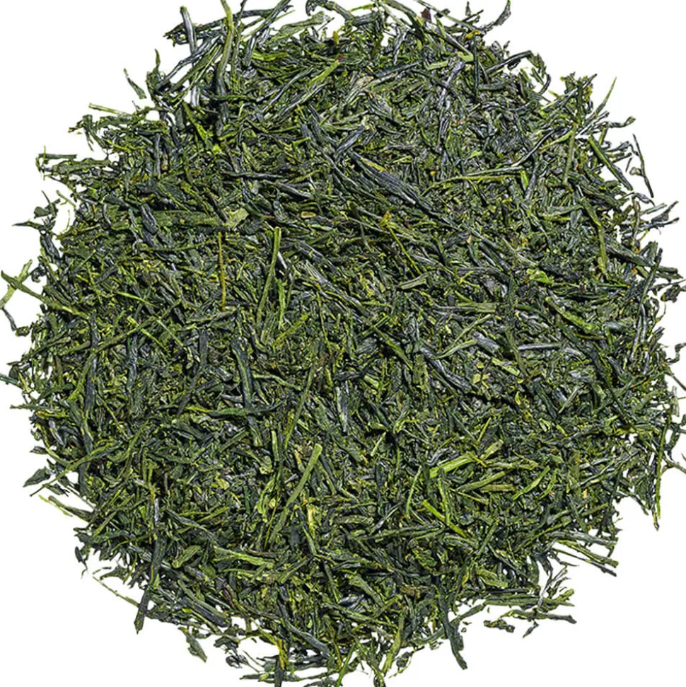Shincha Asanoka 2023 bio