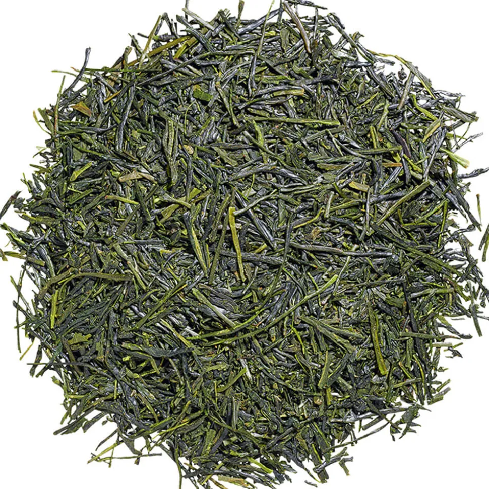 Shincha Wakana 2024 bio mit reichlich Umami