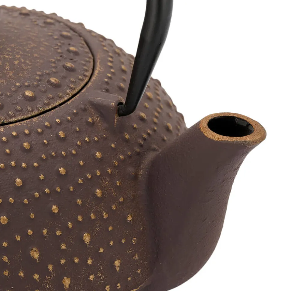 Teekanne Gusseisen Anhui