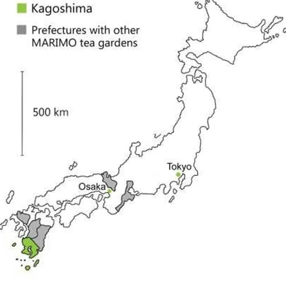 Watanabe Kyû Tennen Gyokuro bio