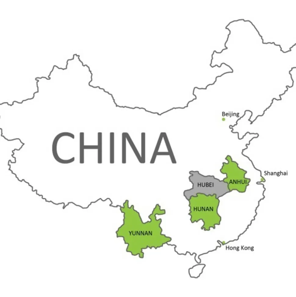 Weißer Tee Yue Guang Bai bio