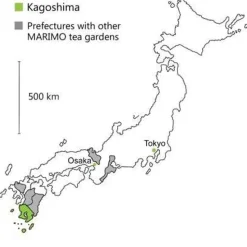 Yoru No Ka Sencha bio