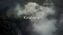 Yoru No Ka Sencha bio